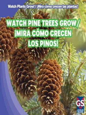 cover image of Watch Pine Trees Grow / ¡Mira cómo crecen los pinos!
